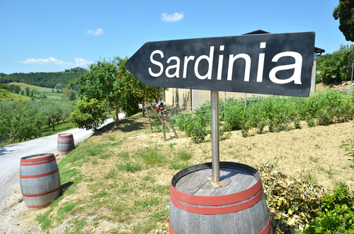 Sardinia,Arrow,And,Wine,Barrels,Along,Rural,Road
