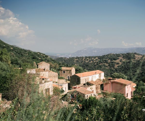 Sardinian Culture by Visiting Barbagia in Autumn