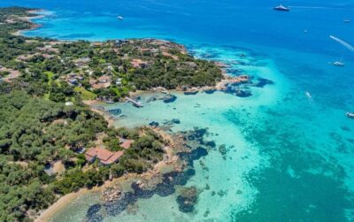 Palm Tree Music Festival – Costa Smeralda Palm Tree Music Festival – Costa Smeralda